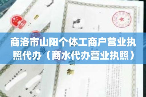 商洛市山阳个体工商户营业执照代办（商水代办营业执照）