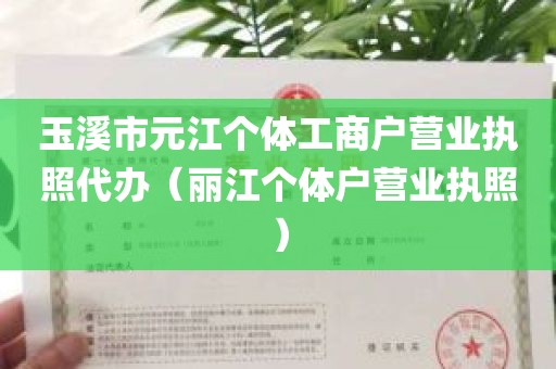 玉溪市元江个体工商户营业执照代办（丽江个体户营业执照）