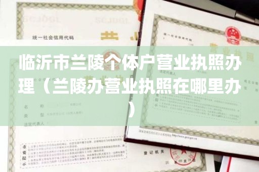 临沂市兰陵个体户营业执照办理（兰陵办营业执照在哪里办）