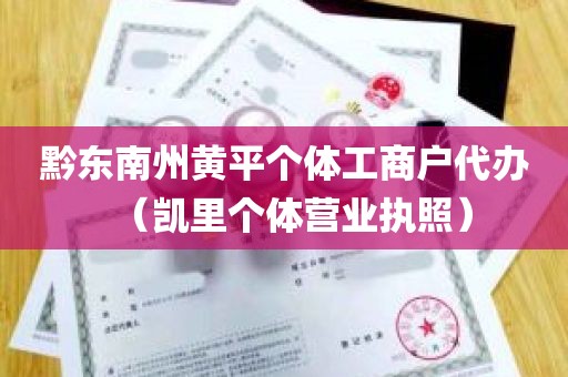 黔东南州黄平个体工商户代办（凯里个体营业执照）