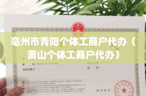 亳州市青阳个体工商户代办（萧山个体工商户代办）