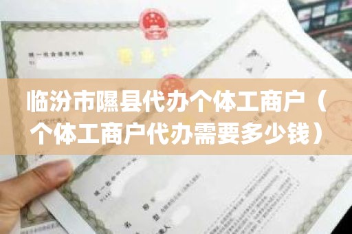 临汾市隰县代办个体工商户（个体工商户代办需要多少钱）