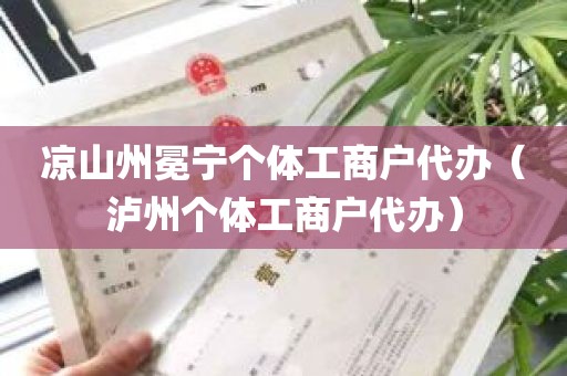 凉山州冕宁个体工商户代办（泸州个体工商户代办）