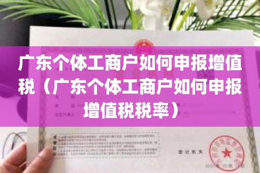 广东个体工商户如何申报增值税（广东个体工商户如何申报增值税税率）