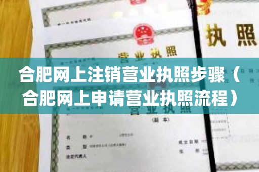 合肥网上注销营业执照步骤（合肥网上申请营业执照流程）