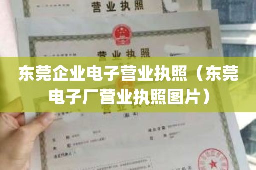 东莞企业电子营业执照（东莞电子厂营业执照图片）