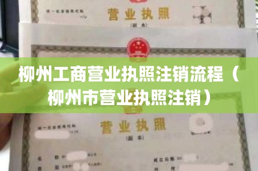 柳州工商营业执照注销流程（柳州市营业执照注销）