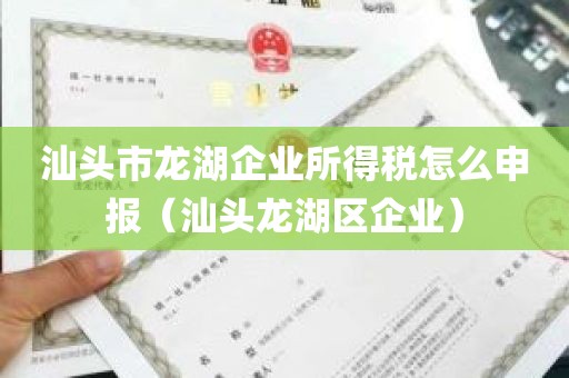汕头市龙湖企业所得税怎么申报（汕头龙湖区企业）