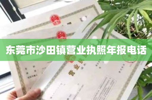 东莞市沙田镇营业执照年报电话