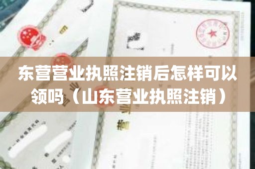 东营营业执照注销后怎样可以领吗（山东营业执照注销）