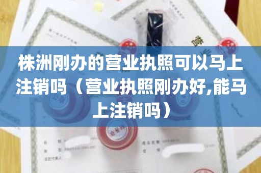 株洲刚办的营业执照可以马上注销吗（营业执照刚办好,能马上注销吗）