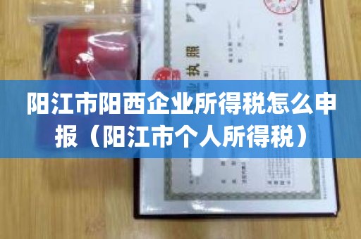 阳江市阳西企业所得税怎么申报（阳江市个人所得税）