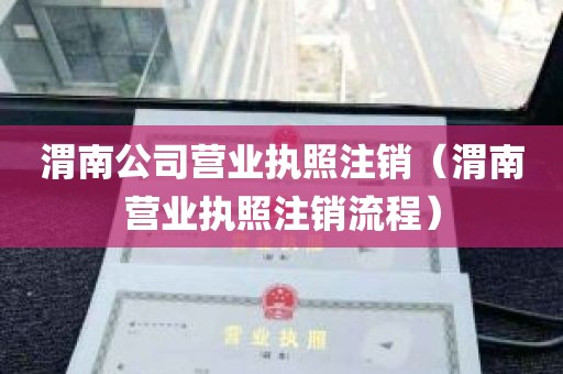 渭南公司营业执照注销（渭南营业执照注销流程）