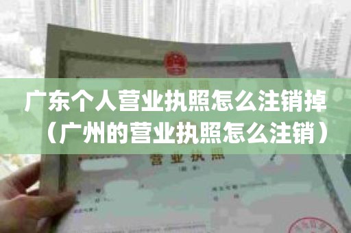 广东个人营业执照怎么注销掉（广州的营业执照怎么注销）