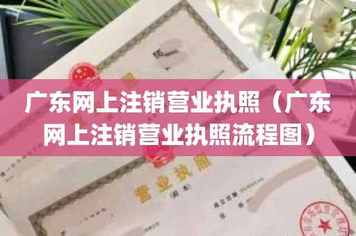 广东网上注销营业执照（广东网上注销营业执照流程图）