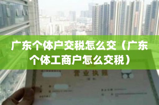 广东个体户交税怎么交（广东个体工商户怎么交税）