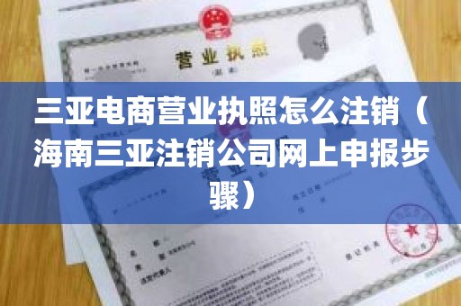 三亚电商营业执照怎么注销（海南三亚注销公司网上申报步骤）