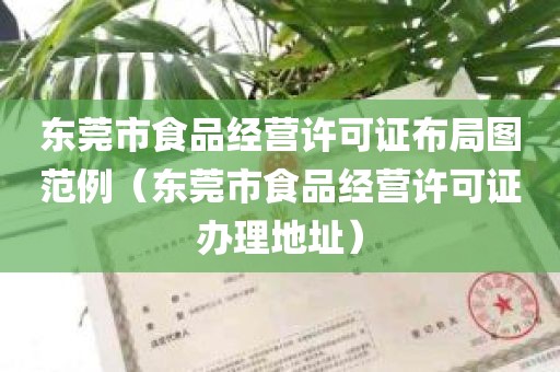 东莞市食品经营许可证布局图范例（东莞市食品经营许可证办理地址）