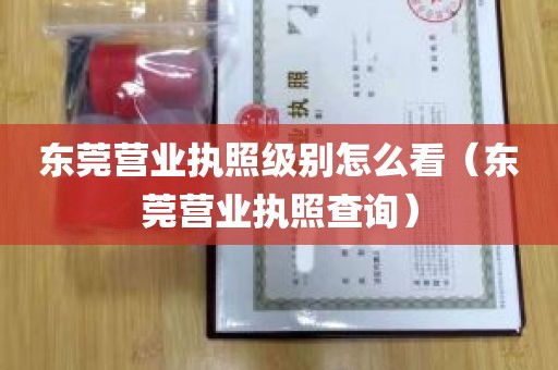 东莞营业执照级别怎么看（东莞营业执照查询）