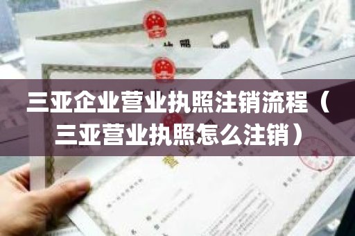 三亚企业营业执照注销流程（三亚营业执照怎么注销）