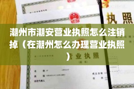 潮州市潮安营业执照怎么注销掉（在潮州怎么办理营业执照）