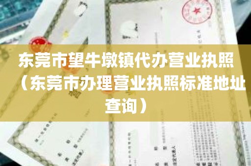 东莞市望牛墩镇代办营业执照（东莞市办理营业执照标准地址查询）