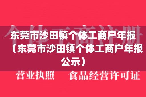 东莞市沙田镇个体工商户年报（东莞市沙田镇个体工商户年报公示）