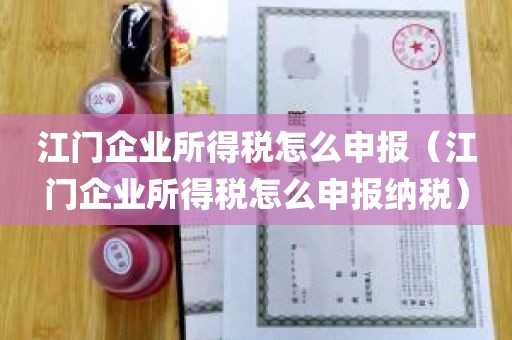 江门企业所得税怎么申报（江门企业所得税怎么申报纳税）