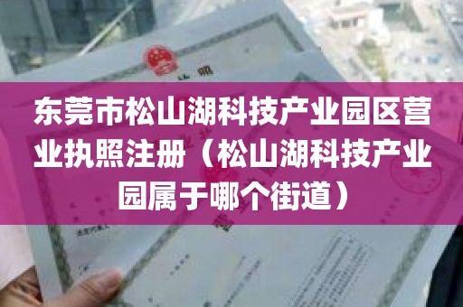 东莞市松山湖科技产业园区营业执照注册（松山湖科技产业园属于哪个街道）