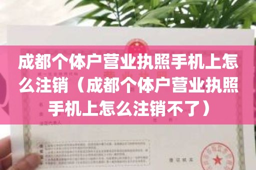 成都个体户营业执照手机上怎么注销（成都个体户营业执照手机上怎么注销不了）