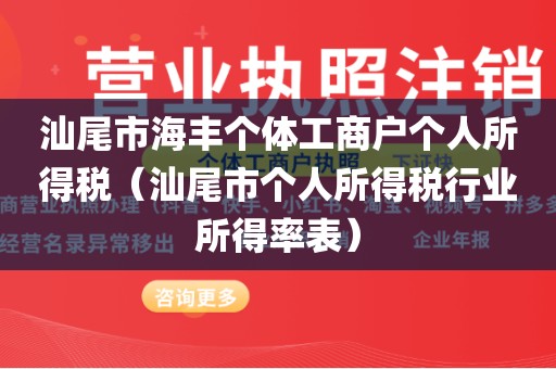 汕尾市海丰个体工商户个人所得税（汕尾市个人所得税行业所得率表）