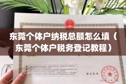 东莞个体户纳税总额怎么填（东莞个体户税务登记教程）