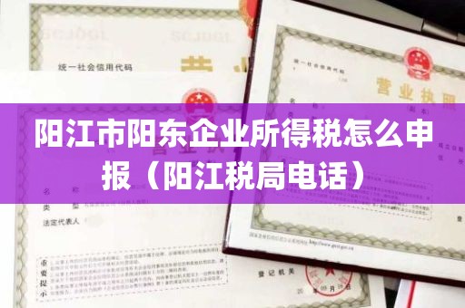 阳江市阳东企业所得税怎么申报(阳江税局电话)