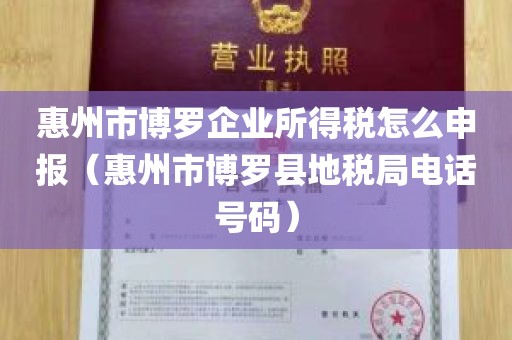 惠州市博罗企业所得税怎么申报（惠州市博罗县地税局电话号码）