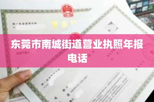 东莞市南城街道营业执照年报电话