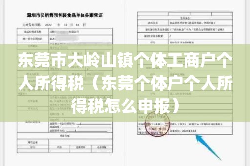 东莞市大岭山镇个体工商户个人所得税(东莞个体户个人所得税怎么申报)