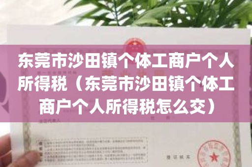 东莞市沙田镇个体工商户个人所得税（东莞市沙田镇个体工商户个人所得税怎么交）