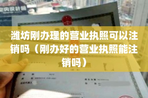潍坊刚办理的营业执照可以注销吗（刚办好的营业执照能注销吗）