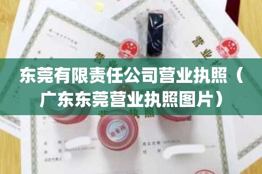 东莞有限责任公司营业执照（广东东莞营业执照图片）