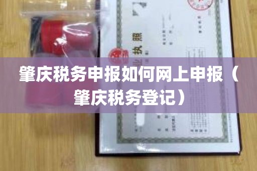 肇庆税务申报如何网上申报（肇庆税务登记）
