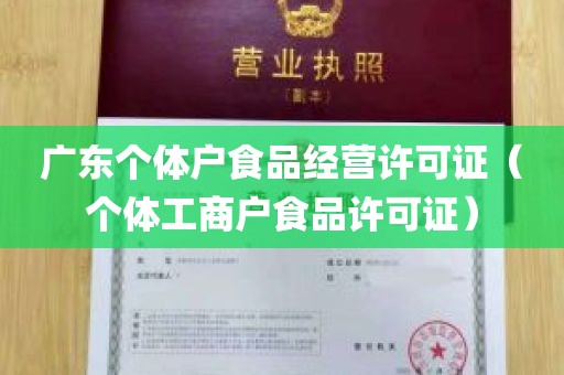广东个体户食品经营许可证（个体工商户食品许可证）