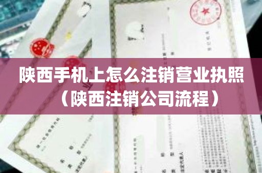 陕西手机上怎么注销营业执照（陕西注销公司流程）