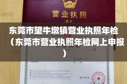 东莞市望牛墩镇营业执照年检（东莞市营业执照年检网上申报）