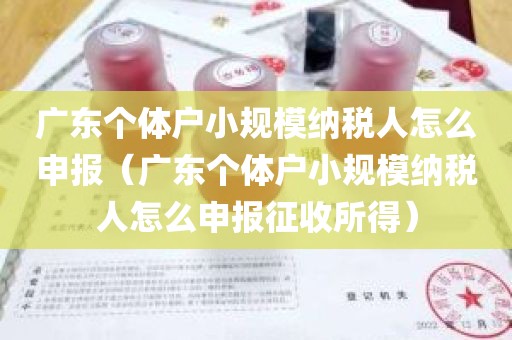 广东个体户小规模纳税人怎么申报（广东个体户小规模纳税人怎么申报征收所得）