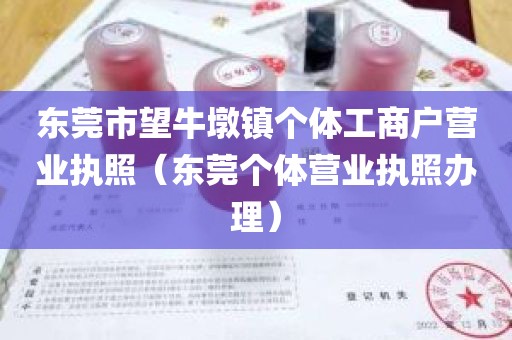 东莞市望牛墩镇个体工商户营业执照(东莞个体营业执照办理)