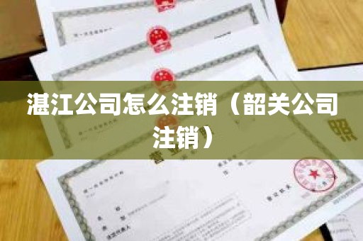 湛江公司怎么注销（韶关公司注销）