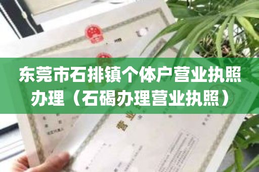 东莞市石排镇个体户营业执照办理（石碣办理营业执照）