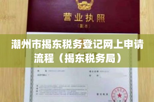 潮州市揭东税务登记网上申请流程（揭东税务局）
