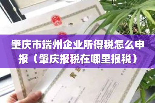 肇庆市端州企业所得税怎么申报（肇庆报税在哪里报税）