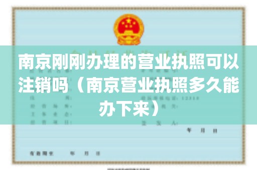 南京刚刚办理的营业执照可以注销吗（南京营业执照多久能办下来）